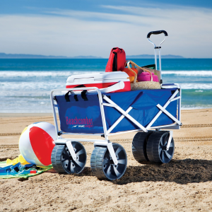 Beach cart setup for a long day on folly beach